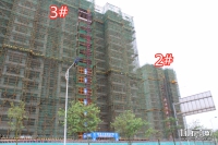5¹ͼ