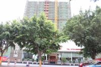 202005