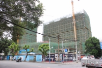 202005
