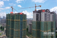 2024720չʵ